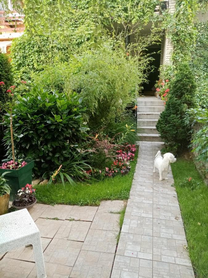 Dusica Apartmani Jagodina Exteriér fotografie